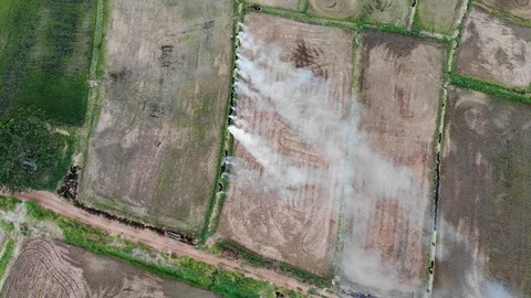 Smoke from rice fields 스톡 동영상 106514006