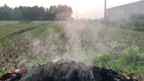 SMOKE IN THE RICEFIELD  動画素材 205080514
