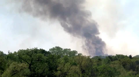 Smoke rises above hillside Stock Footage 38020213