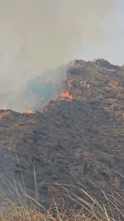 Smoke rises from burning hillside Stock Footage 339403546
