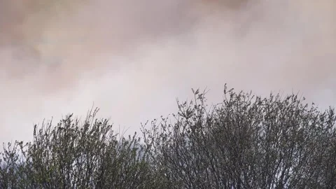 Smoke rises from the burnt grass, prairie fire Stock Footage 335285393