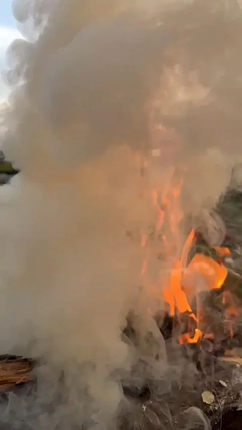 Smoke rises from a campfire Stock Footage 318242544
