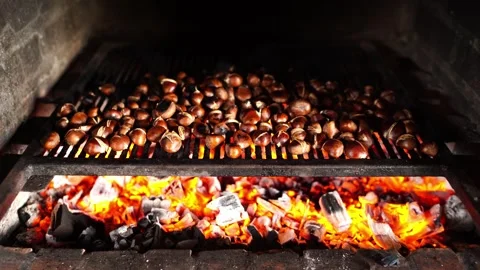 Smoke rises from chestnuts roasted on the grate over the fire in the oven Stock Footage 270163622