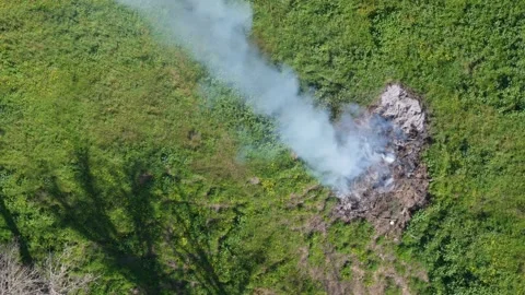 Smoke rises from a controlled fire in a grassy field during springtime Stock Footage 301907803