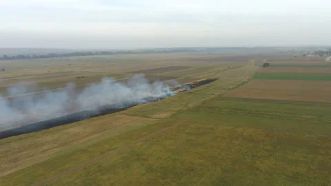 Smoke rises from field 스톡 동영상 155497237