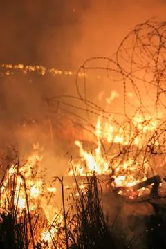 Smoke Rises from Forest Fire Foto stock