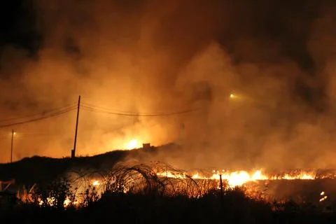 Smoke Rises from Forest Fire Stock Photos