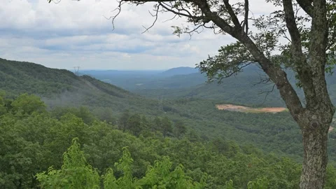 Smoke Rises From Forest Stock Footage 247344728