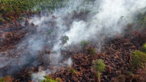 Smoke rises from scorched earth Vidéo 337729287