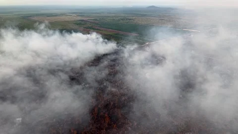 Smoke rises thick and white above scorched earth Stock Footage 333355106