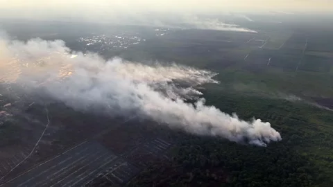 Smoke rises thick, curling over burning forest Stock Footage 332611370