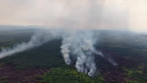 Smoke rises thick over burning forest Video stock 332588957