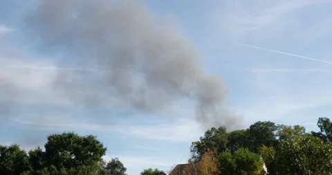 Smoke rising behind tree line as a fire has started in distance  Vidéo 163479834