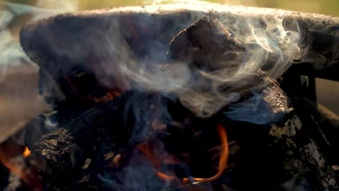 Smoke rising from burning log in fire. Firewood in grill close up. Preparation Stock Footage 303372228