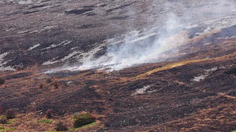 Smoke Rising From Charred Wildfire Ground on Llangynidr Moors, Handheld Stock-Footage 345041209