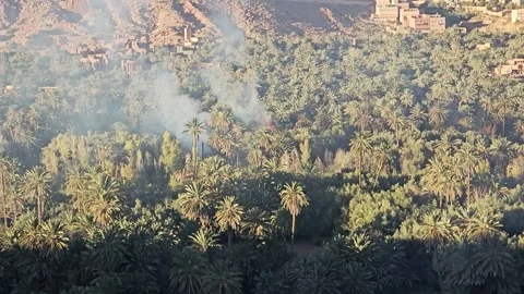 Smoke rising from the dense date palm oasis below the village of Tinghir, Stock Footage 344534516