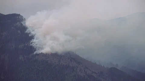 Smoke rising from forest fire Stock Footage 308800109