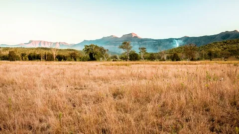 Smoke rising up in the forest Stock Footage 76100701