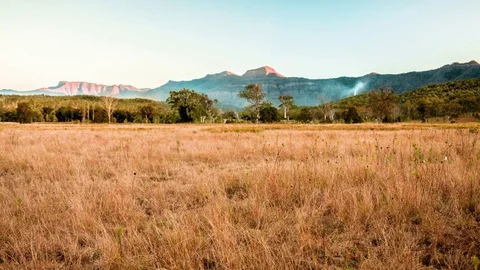 Smoke rising up in the forest Video stock 76100723