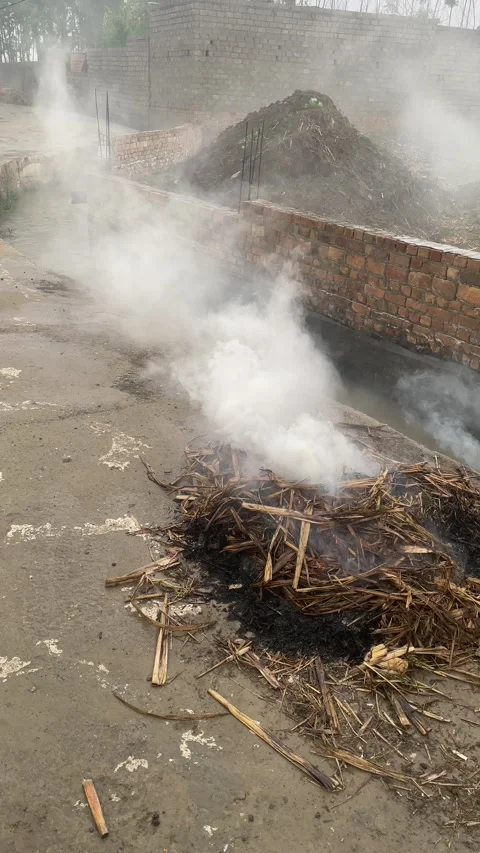 Smoke on road side in a village. Stock Footage 305166819