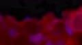 Smoke rolling fog background element smokey foggy mist machine back lit 4k 4k or 4k+ Resolution