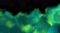 Smoke rolling fog background element smokey foggy mist machine back lit 4k 4k or 4k+ Resolution