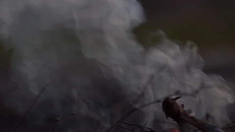 Smoke rolling off small glowing campfire Stock Footage 102906000