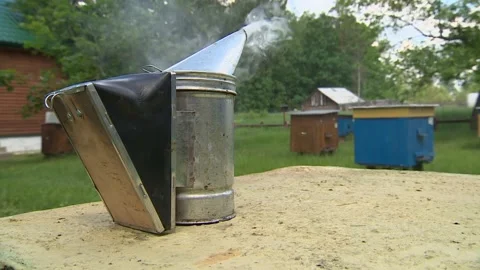 Smoke to scare away bees when collecting honey. Video stock 170361629