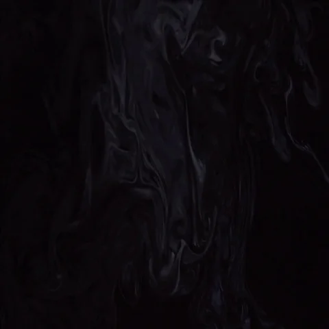 Smoke section Vidéo 69485315