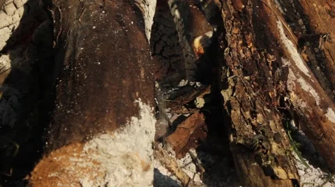 Smoke seeps out of logs in firepit Stock Footage 40208032