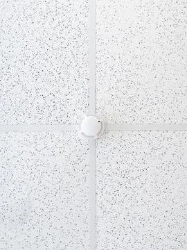 Smoke sensor on the ceiling in the office room. Fire alarm element. Workspace Stock Photos