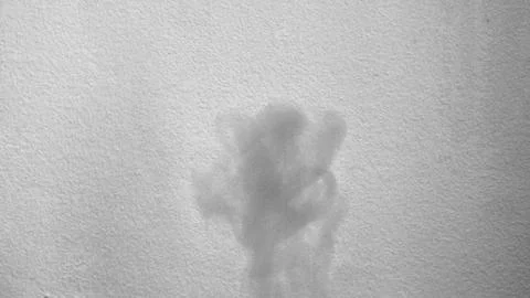 Smoke Shadow Close Stock Photos