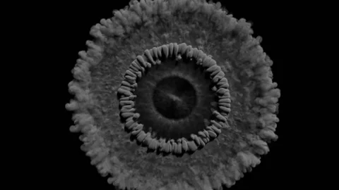 Smoke Shockwave Stock-Footage 87152310