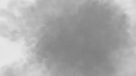 Smoke Simulation, With Alpha Channel Stock Footage 317504164