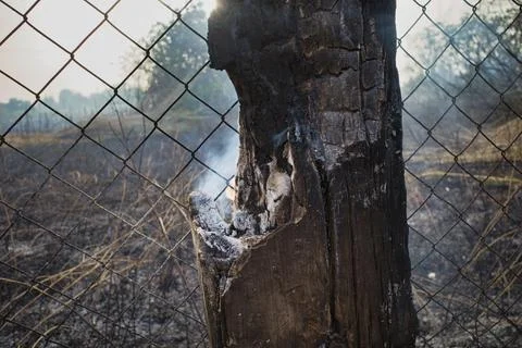 Smoke spirals up from a charred post stump behind a wire fence. Stock Photos