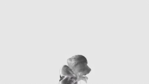 Smoke spreading on the screen with alpha channel Stock Footage 236333287