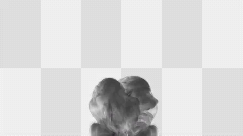 Smoke spreading on the screen with transparent background (alpha channel) Stock Footage 236333528