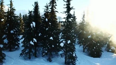 Smoke Stack Billowing From Camp Wood Stove Chimney In Alaska Wilderness Video stock 121045031