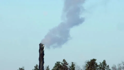 Smoke stack chimney belches smoke into blue sky over trees, copy space Video stock 263731442
