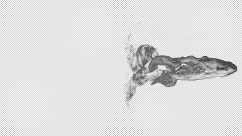 Smoke Stream Top View like from a train Vídeos de archivo 336329380