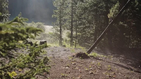 Smoke in the sunlight illuminates a spider web in a forest clearing Stock Footage 90820107