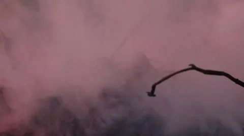 Smoke at the sunset 스톡 동영상 48846788