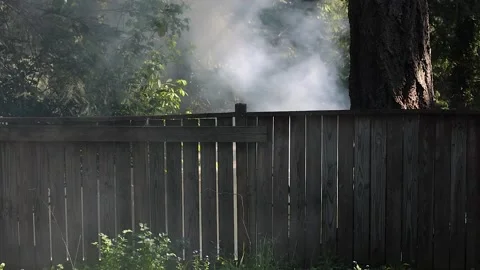 Smoke swirling through trees over a fire in yard Stock Footage 153341117