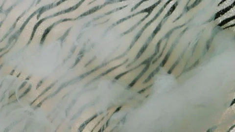 Smoke texture dye water white paint zebra pattern Stock Footage 314044985