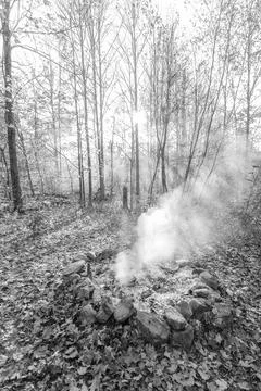 Smoke in th fall trees Fotos de archivo