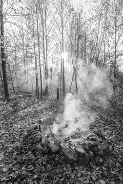 Smoke in th fall trees Fotos de archivo