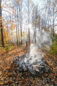 Smoke in th fall trees Stock Photos