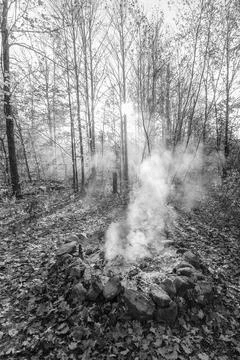 Smoke in th fall trees Fotos de archivo
