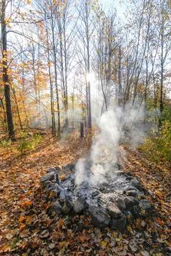 Smoke in th fall trees Stock Photos