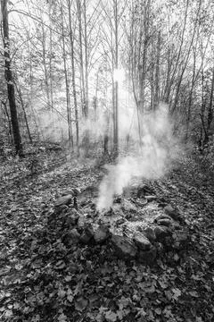 Smoke in th fall trees Stock Photos